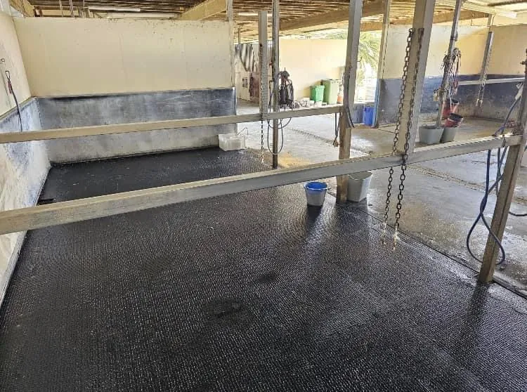 Rubber flooring installed in a stable block
